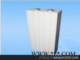 供应磷酸铁锂电池5081230-6AH 25.6V