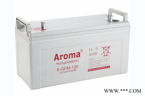 华龙AROMA蓄电池6-FM-40/12V40AH 铅酸免维护蓄电池 UPS/EPS不间断电源 风力发电储备电源图2