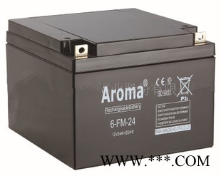 华龙AROMA蓄电池6-FM-40/12V40AH 铅酸免维护蓄电池 UPS/EPS不间断电源 风力发电储备电源图3