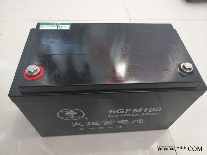 火炬蓄电池6-FM-120/12V120AH UPS不间断电源 UPS蓄电池 铅酸蓄电池 风力发电储备电源图8