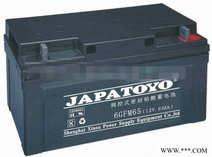 东洋JAPATOYO蓄电池 6GFM150/12V150AH 阀控式密封蓄电池 UPS不间断电源太阳能风力发电储备电源图2