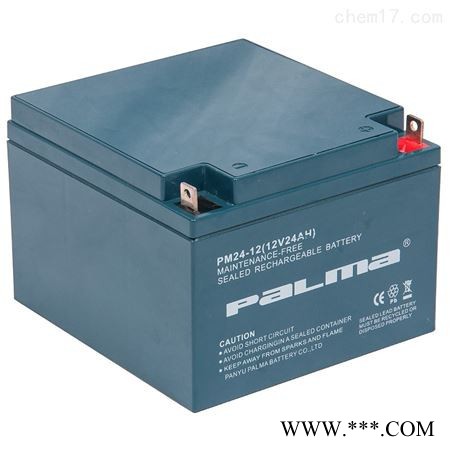 八马PALMA蓄电池PM100-12/12V100AH 铅酸免维护蓄电池 UPS/EPS不间断电源 风力发电储备电源图4