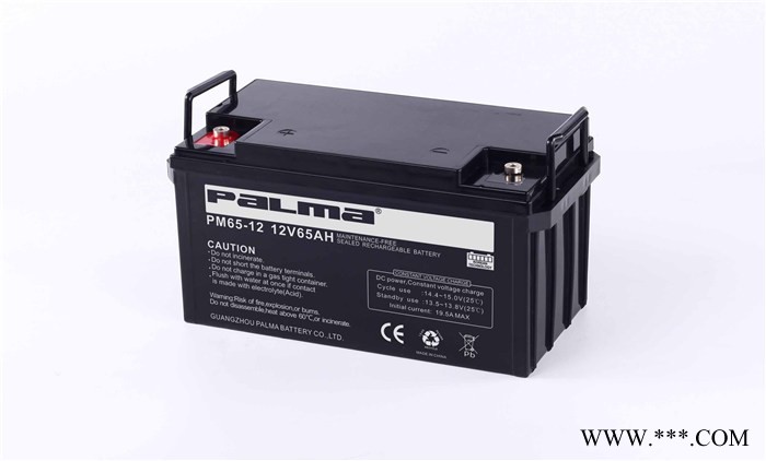 八马PALMA蓄电池PM100-12/12V100AH 铅酸免维护蓄电池 UPS/EPS不间断电源 风力发电储备电源图6