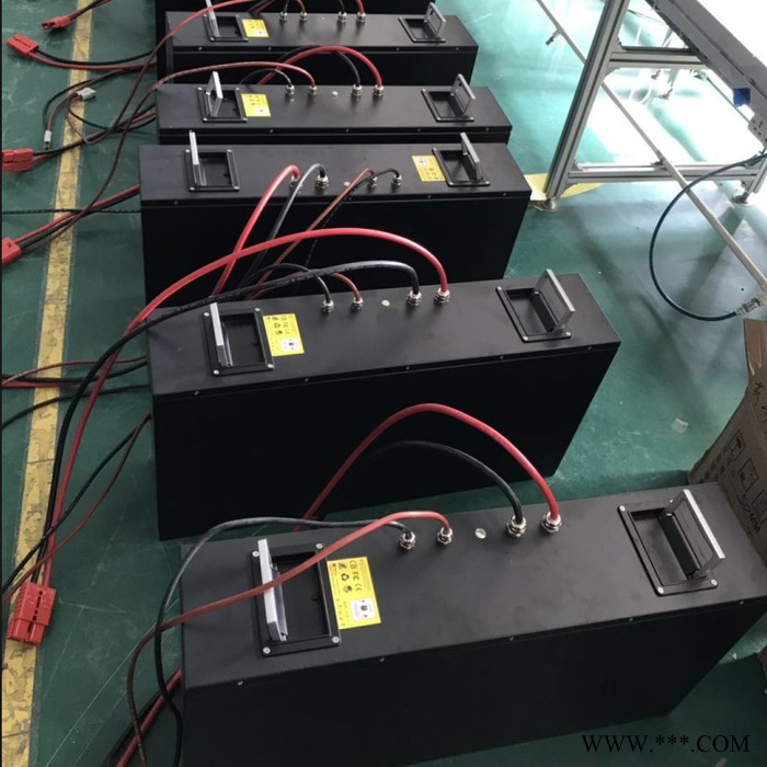 亚森定制 24v100ah磷酸铁电池组电动叉车锂电池组动力电池组图3