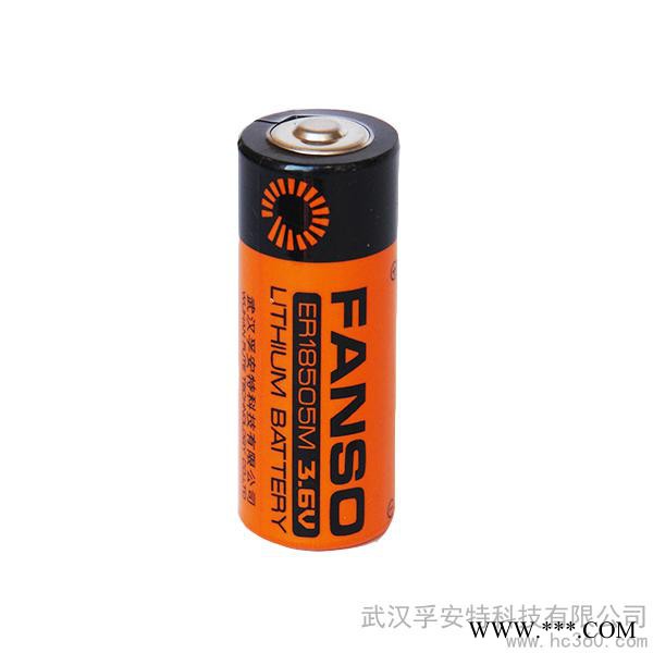 供应FANSO孚安特 ER18505M  3.6V 锂亚电池  水表专用图3