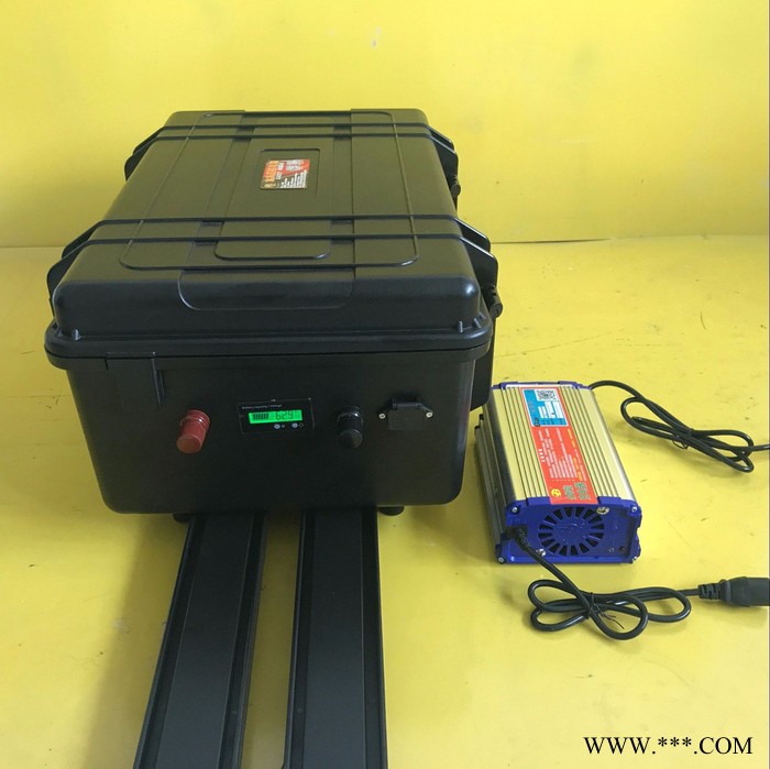 亚森48V80AH磷酸铁锂电池 量超声波逆变器锂电池 锂电池图2