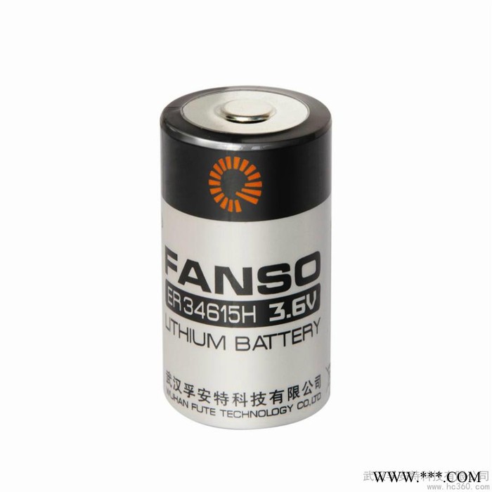 供应ER34615H ER34615 武汉孚安特3.6V  锂亚电池图1