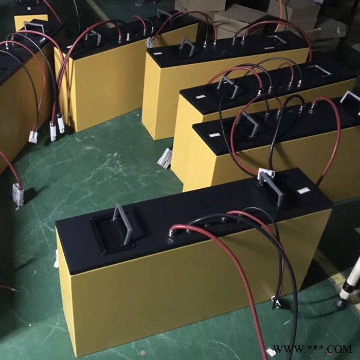 亚森定制24V200AH电动叉车磷酸铁锂电池 大容量动力电池组图2