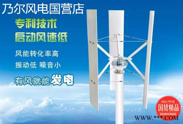 新款H2型100W~300W小型微风启动风力发电机 景观路灯专用图3