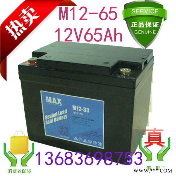MAX 蓄电池 M12-200风力发电专用