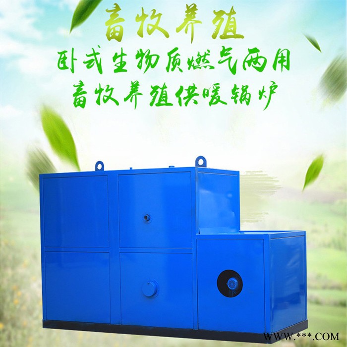 鲁信达  生物质锅炉 厂家生产卧式生物质锅炉 新型颗粒生物质锅炉价格图3