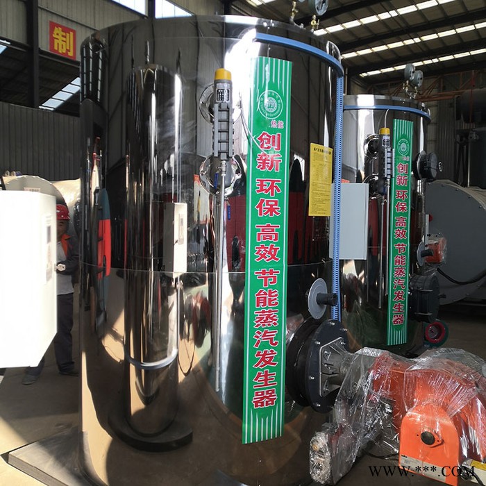 洪安锅炉 立式生物质锅炉 生物质锅炉 立式生物质锅炉厂家  厂家供应，欢迎订购图2