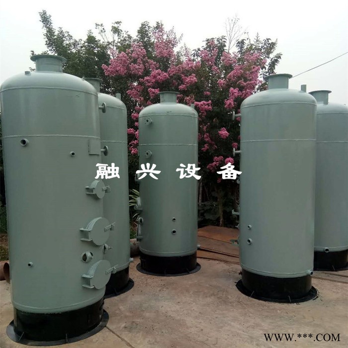 融兴酿酒用生物质锅炉 节能环保型两用锅炉 酿酒配套无尘煤炉 蒸汽机 液化气锅炉 蒸汽发生器现货供应图5