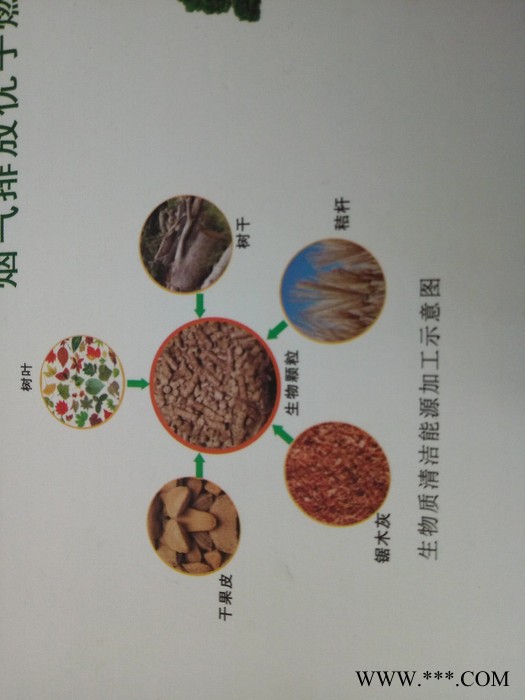 天翊5万大卡生物质锅炉图2