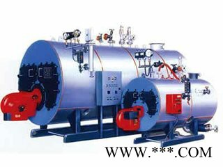 多乐WNS4.0-1.25-Y/Q 环保锅炉 燃油气锅炉 生物质锅炉 燃煤锅炉图7