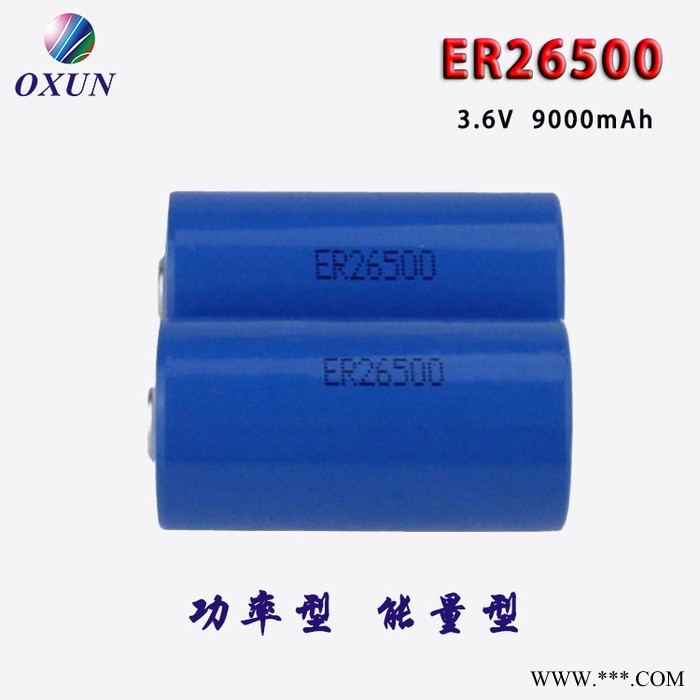 ER26500锂亚电池 水表仪表锂电池图2