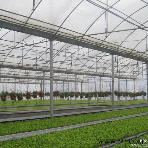 山东蔬菜大棚 光伏蔬菜大棚 环森蔬菜大棚报价图5