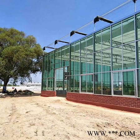 山东蔬菜大棚 光伏蔬菜大棚 环森蔬菜大棚报价图4