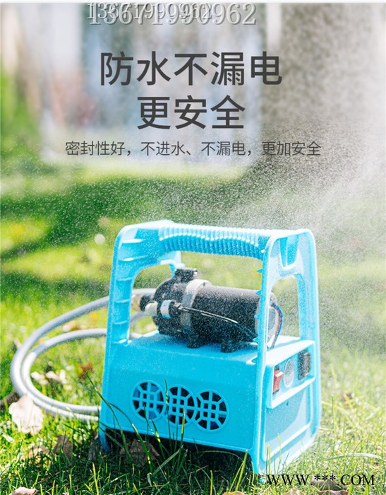 电动喷雾器 锂电池水泵 12v农药喷洒器 电动消毒机 农用喷雾器图7