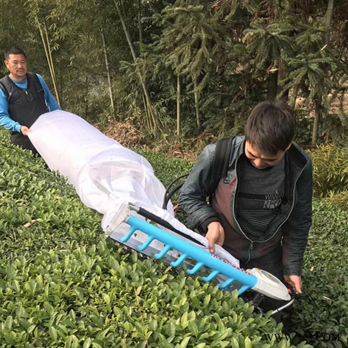 程煤茶叶采摘机 新款锂电池采茶机 电动无刷茶叶采摘机特点图4