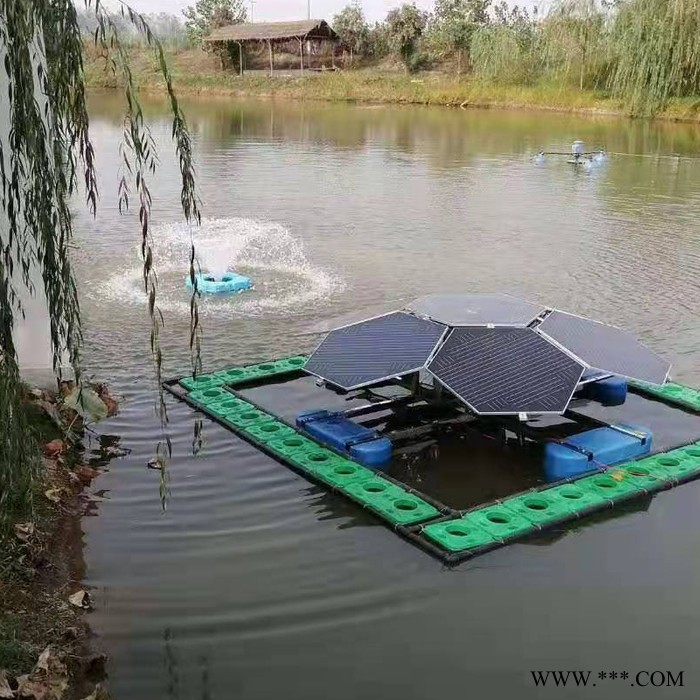 绿博斯LBSSUN-PQ 太阳能喷泉曝气机 太阳能曝气增氧机  太阳能推流曝气机 污水处理专用河道曝气机 光伏曝气增氧机图3