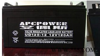 美国艾佩斯蓄电池UD17-12 艾佩斯蓄电池12V17AH 直流屏电池 UPS蓄电池 EPS蓄电池 光伏储能电池图2