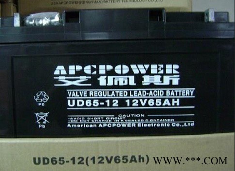 美国艾佩斯蓄电池UD17-12 艾佩斯蓄电池12V17AH 直流屏电池 UPS蓄电池 EPS蓄电池 光伏储能电池图3