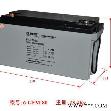 太阳能蓄电池12V65AH 復華保护神蓄电池MF12-65路灯蓄电池 复华蓄电池 光伏蓄电池图3