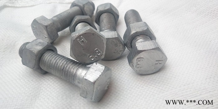 鑫联厂家现货 光伏电力铁塔栓  高铁热镀锌螺栓 M20*50热镀锌高强度螺栓图3