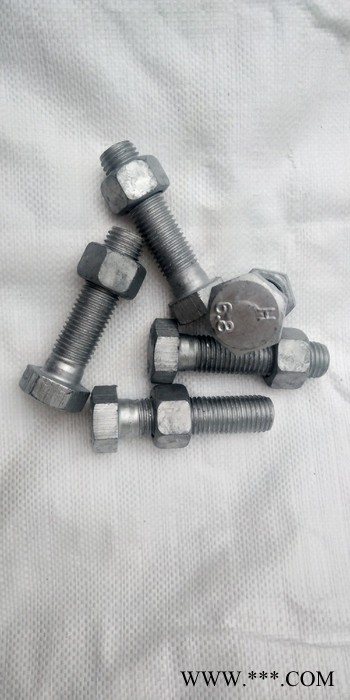 鑫联厂家现货 光伏电力铁塔栓  高铁热镀锌螺栓 M20*50热镀锌高强度螺栓图2