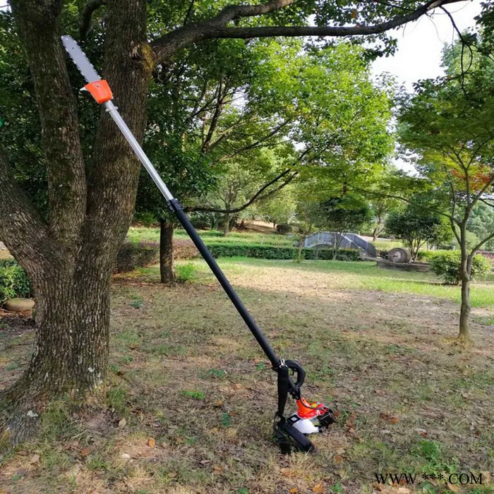 加长伸缩杆汽油高枝锯操作 大树高树修枝锯质量好 锂电池高枝油锯图6