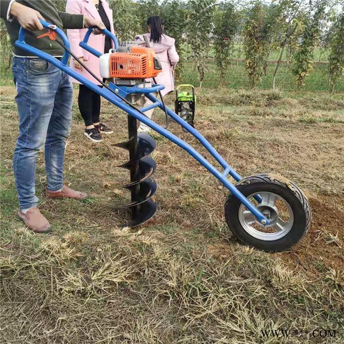 太阳能光伏打桩挖坑机   山东汽油种植钻眼机  果苗种植高效挖坑机视频图3