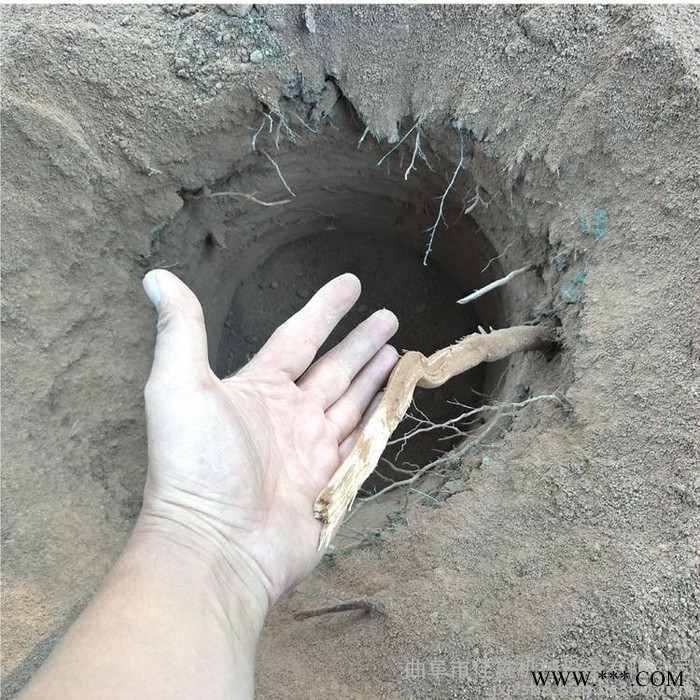 太阳能光伏打桩挖坑机   山东汽油种植钻眼机  果苗种植高效挖坑机视频图5