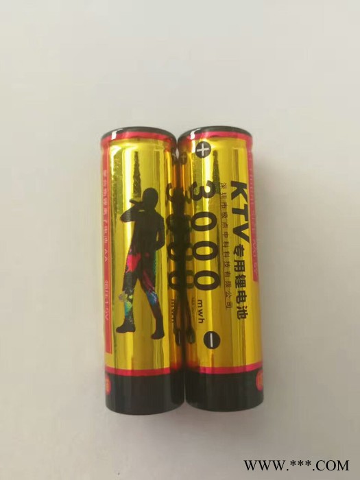 极点锂电池 锂电池5号 KTV专用电池图3