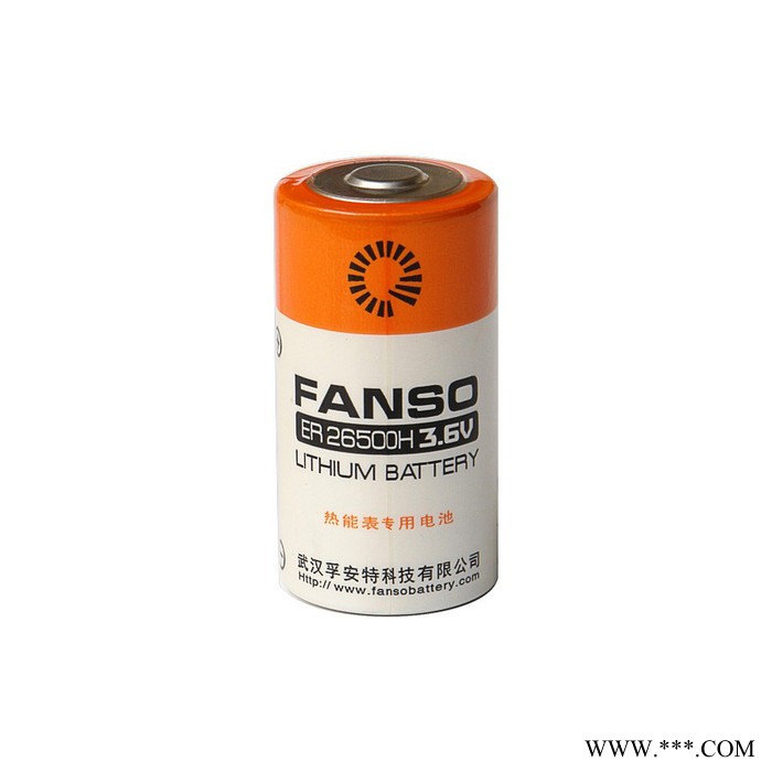 孚安特ER26500,容量型FANSO锂电池,9000mAH高性能锂电池,锂亚电池ER26500H图2