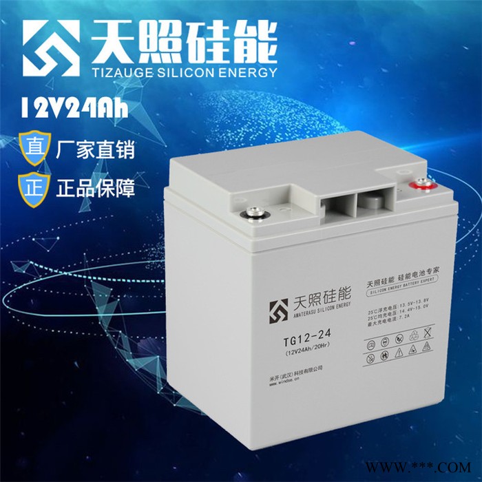 天照硅能蓄电池TG12-100医疗电信电力太阳能光伏UPS储能直流屏专用电池 总经销商12V100AH图7