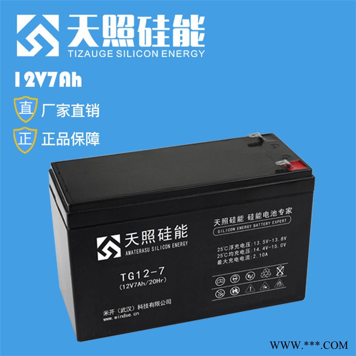 天照硅能蓄电池TG12-100医疗电信电力太阳能光伏UPS储能直流屏专用电池 总经销商12V100AH图2