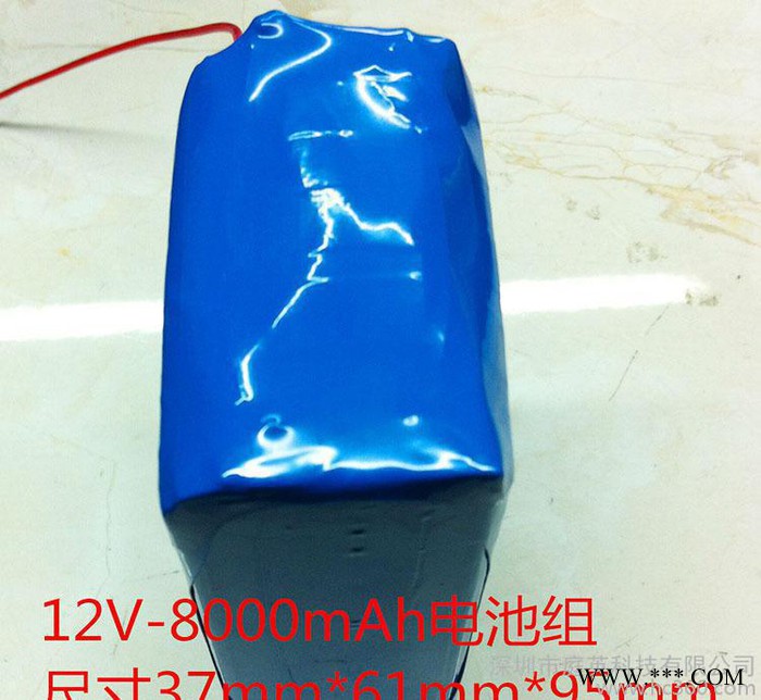 ** 聚合物电池组 12V-8000mAh 大容量锂电池 品牌锂电池定做图2