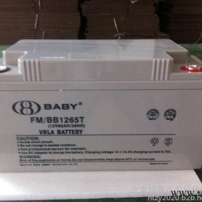 鸿贝BABY蓄电池FM/BB12120T 12V120AH/10HR消防蓄电池UPS蓄电池 光伏发电 应急电源电池