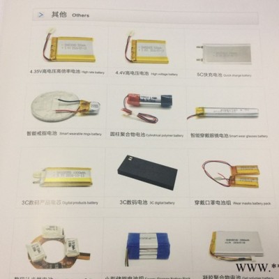 聚合物锂电池其他