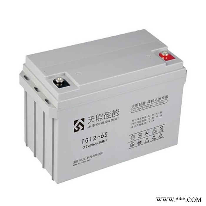 天照硅能蓄电池TG12-24医疗电信电力太阳能光伏UPS储能直流屏专用电池 总经销商12V24AH图8