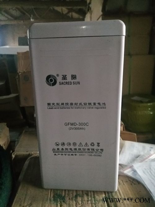 圣阳蓄电池GFM-100C免维护蓄电池2V100AH 太阳能光伏发电专用储能蓄电池 通信电源内置48V电池 UPS蓄电池图3