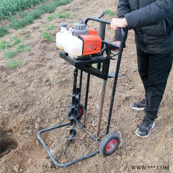 佳鑫机械 大马力栽树苗果树打洞机 大功率四冲程挖坑机 地钻植树电线杆光伏打桩机图2