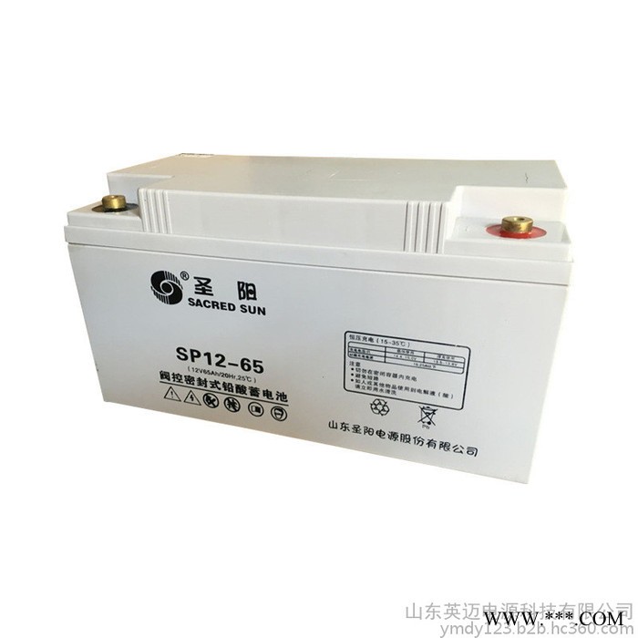 圣阳蓄电池SP12-38免维护蓄电池12V38AH 太阳能光伏发电专用储能蓄电池 通信电源内置48V电池 UPS专用图2