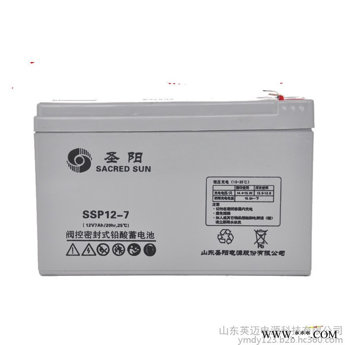 圣阳蓄电池SP12-38免维护蓄电池12V38AH 太阳能光伏发电专用储能蓄电池 通信电源内置48V电池 UPS专用图4