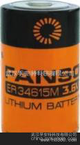 供应武汉孚安特科技有限公司ER34615/ER34615M锂电池一次性锂电池