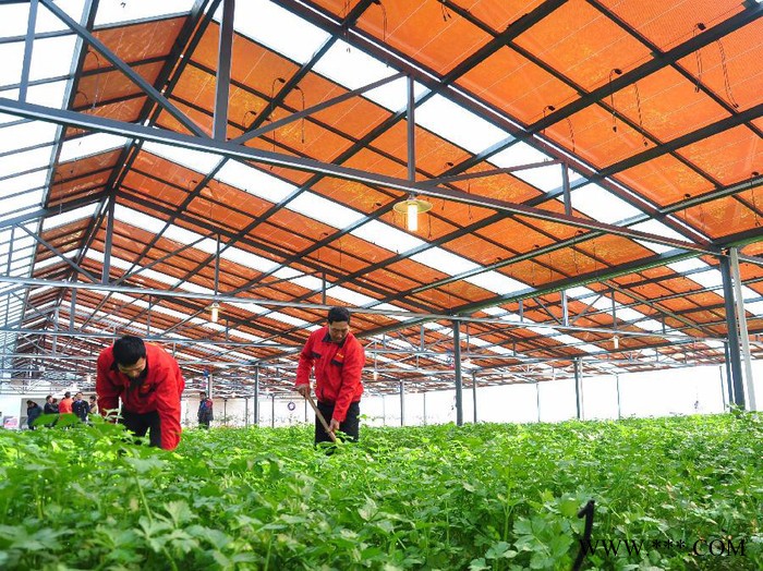 河南亚圣温室光伏蔬菜大棚 光伏农业图7