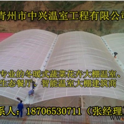 （中兴zx1光伏温室）长治花卉种植温室、河南商洛光伏温室大棚