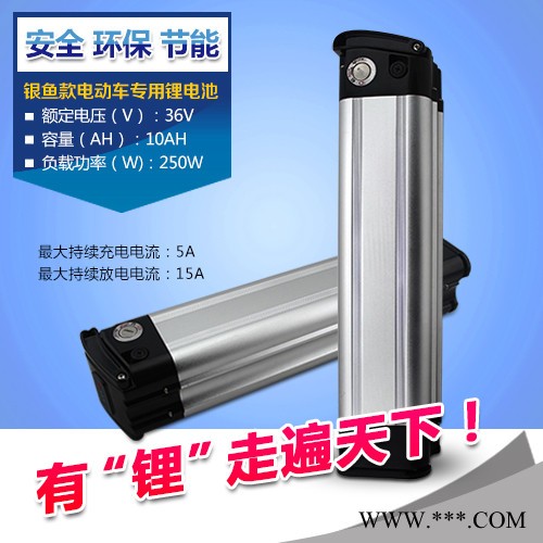供应健林鑫银鱼款银鱼款锂电池图3