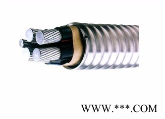 SUNTRANLOY双诚  GF-YJLH60-AC90DC  铝合金电缆  光伏动力电缆图7